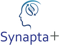 Synapta+ Logo 2025 Synapta+ Logo 2025